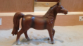/album/fotogalerij-onze-paarden/schermafbeelding-2013-03-14-om-16-10-28-png/
